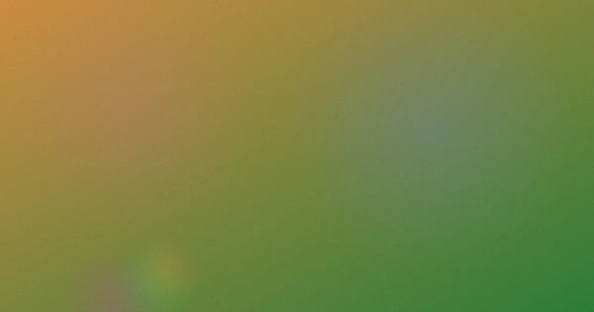 火影忍者小樱本子对比：一次选购复盘